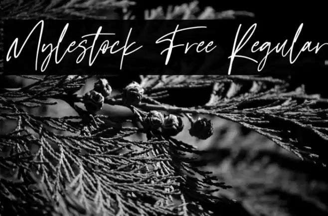 Mylestock Free Regular Caratteri examples