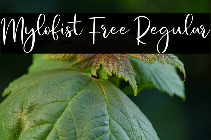 Mylofist Free Regular Example 3