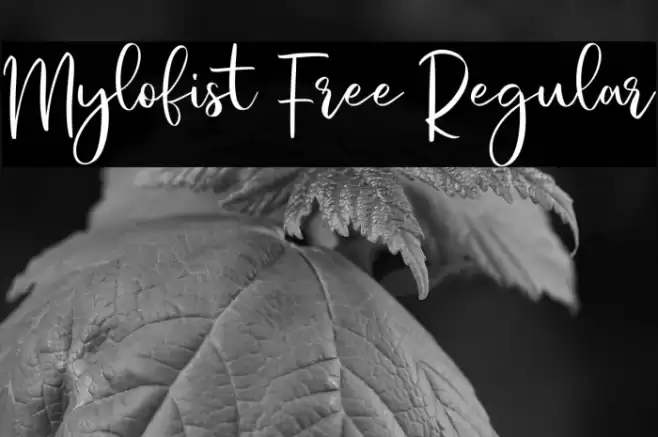 Mylofist Free Regular Font examples