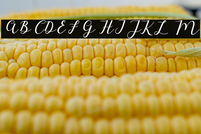 MyloveScript Example 2