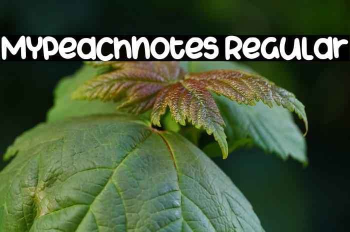 Mypeachnotes Regular Example 1