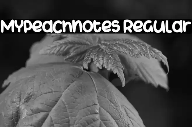 Mypeachnotes Regular Шрифта examples