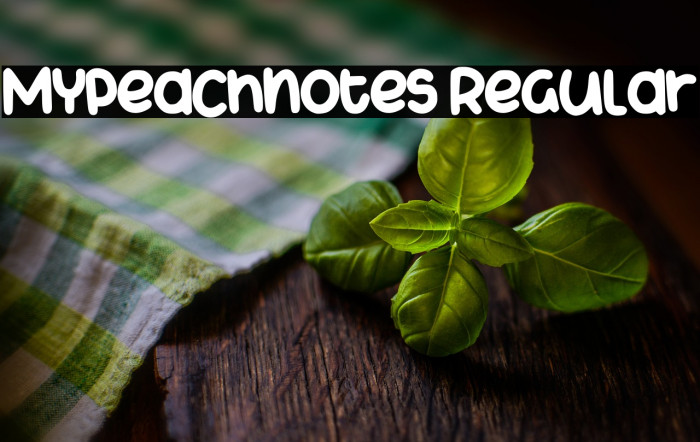 Mypeachnotes Regular Example 2