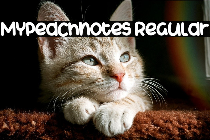 Mypeachnotes Regular Example 3