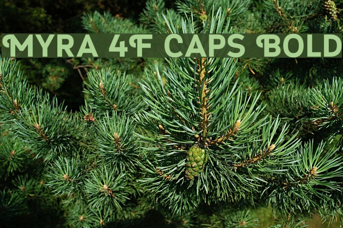 Myra 4F Caps Bold Example 1