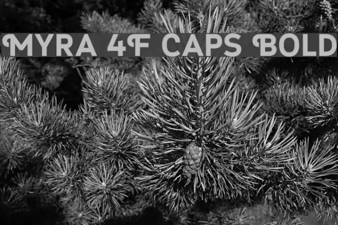 Myra 4F Caps Bold Font examples