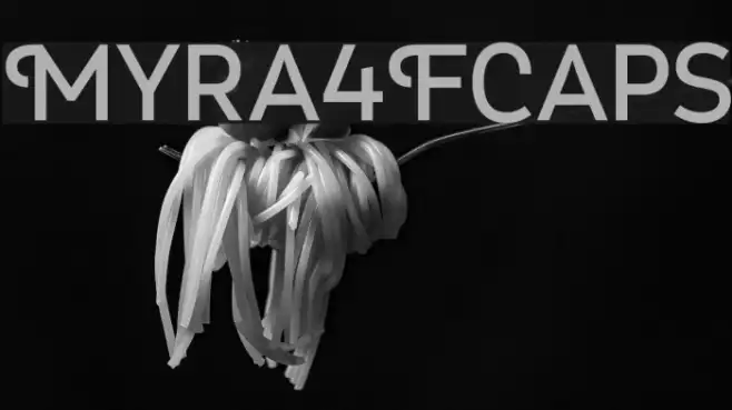 Myra4FCaps Example 2