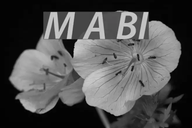 Myriad Apple BoldItalic フォント examples