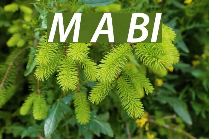 Myriad Apple BoldItalic Font examples