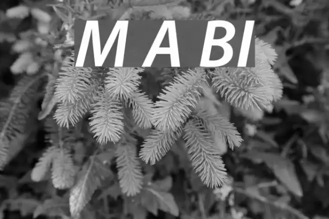 Myriad Apple BoldItalic フォント examples