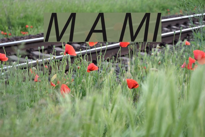 Myriad Apple MediumItalic Font examples