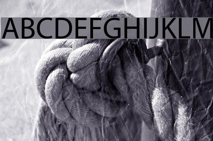 Myriad Apple Medium Font examples