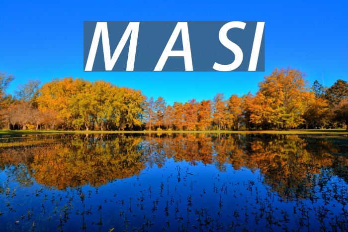 Myriad Apple SemiboldItalic Font examples