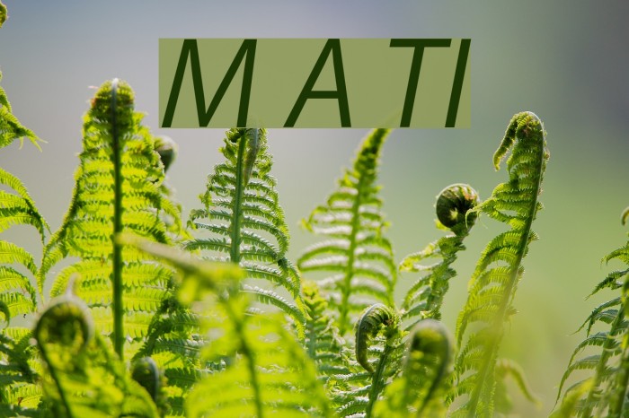 Myriad Apple TextItalic Font examples