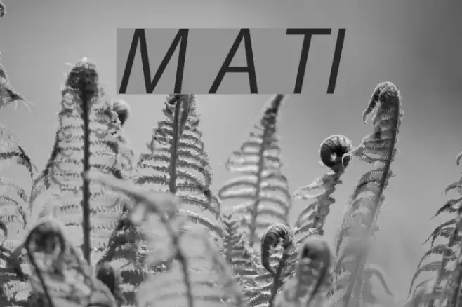 Myriad Apple TextItalic Font examples