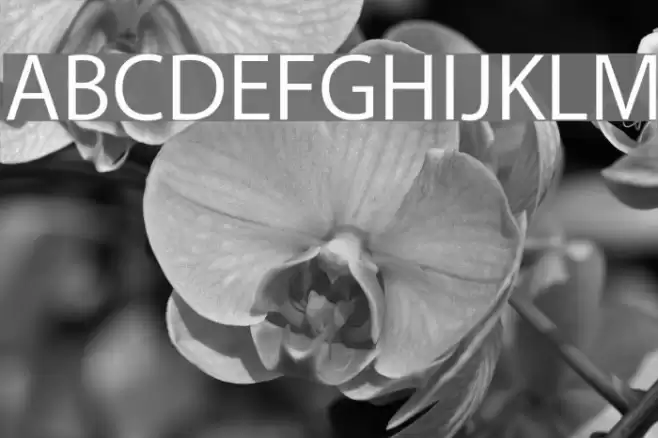 Myriad Apple Text Fuentes examples