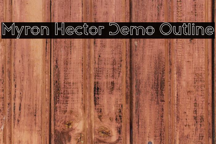 Myron Hector Demo Outline Example 1