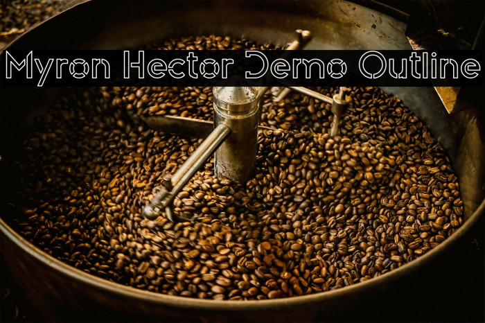 Myron Hector Demo Outline Example 2