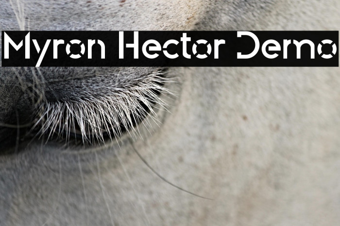 Myron Hector Demo Example 1