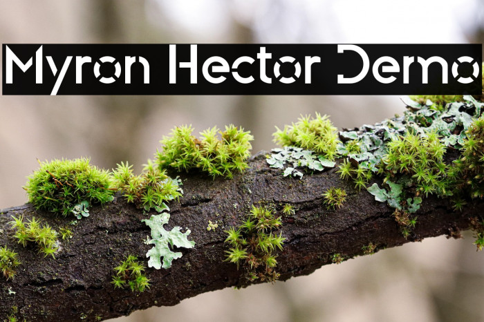 Myron Hector Demo Example 2