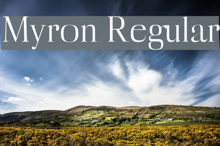 Myron Regular Font examples