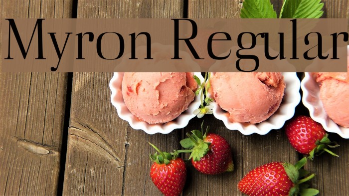Myron Regular Font examples