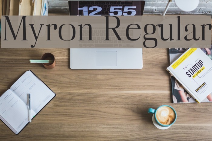 Myron Regular Font examples