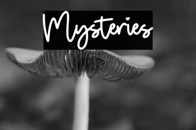 Mysteries Example 1