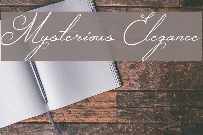 Mysterious Elegance Font examples
