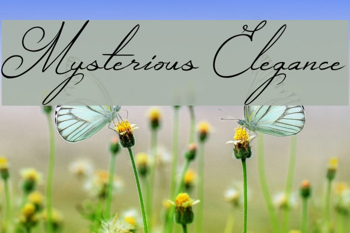 Mysterious Elegance Font examples