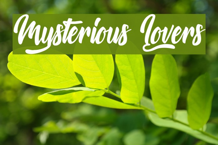 Mysterious Lovers Font examples