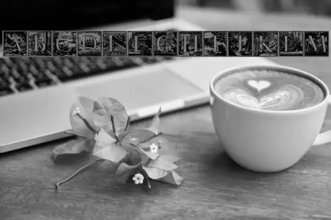 MysteriousVoyage Polices examples