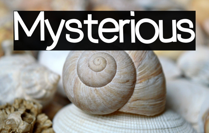 Mysterious Example 2