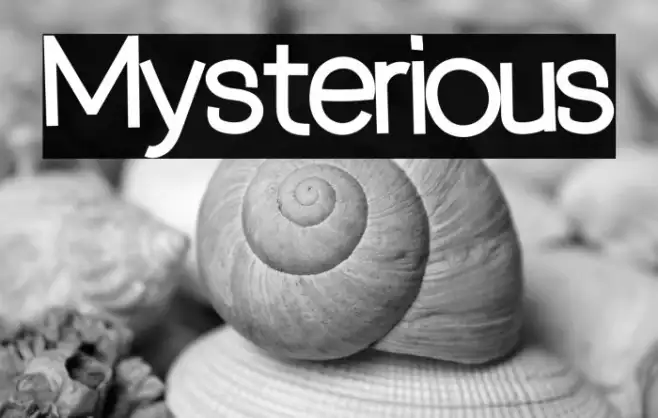 Mysterious Example 2