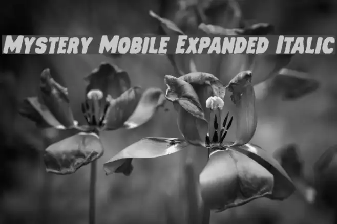 Mystery Mobile Expanded Italic Example 1