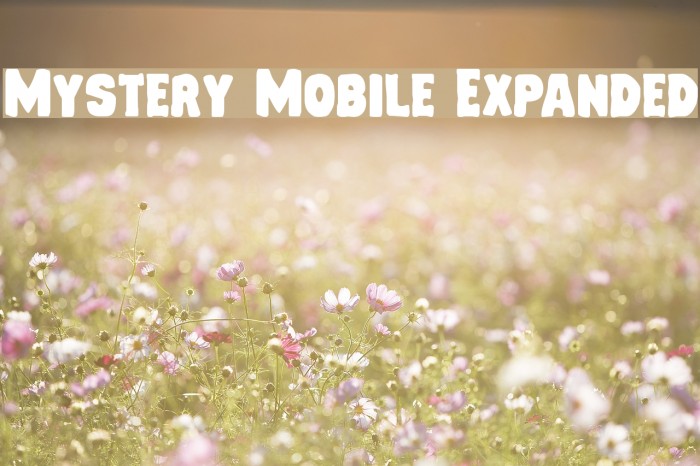 Mystery Mobile Expanded Font examples