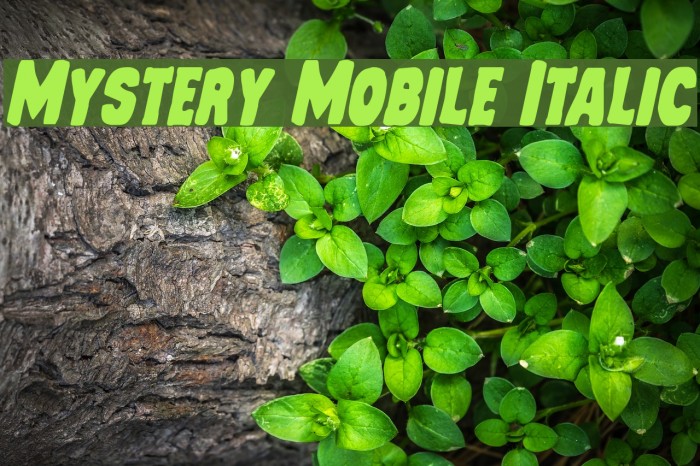 Mystery Mobile Italic Caratteri examples