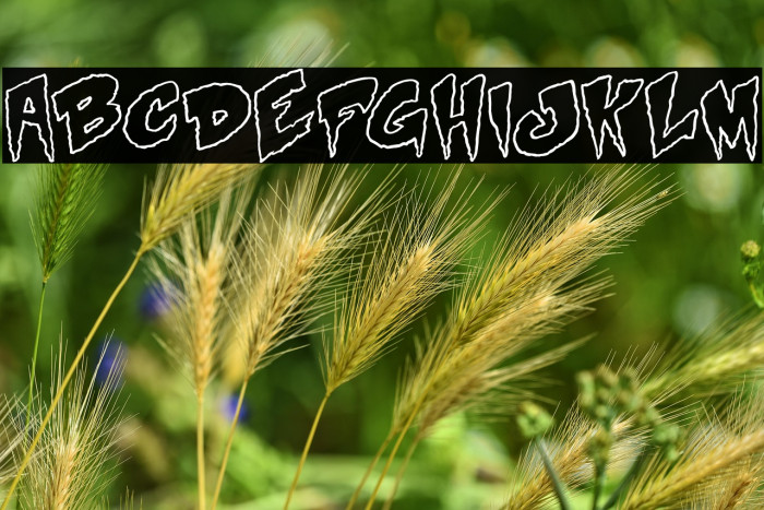 Mystery White Example 3