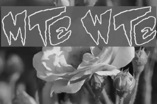 Mystery White Font examples