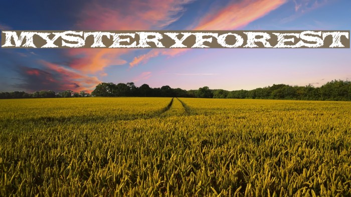 MysteryForest Font examples