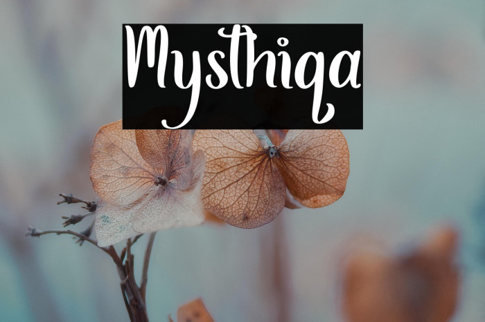 Mysthiqa Example 1