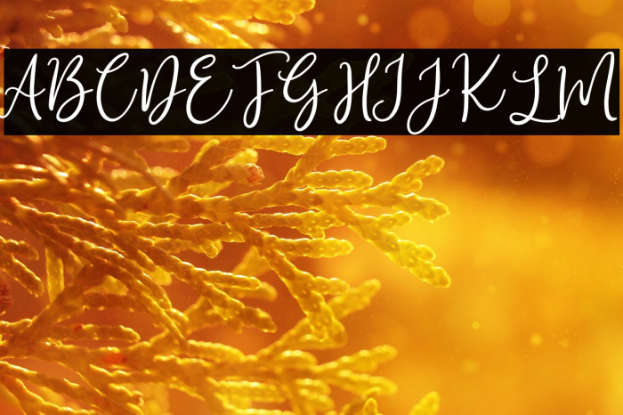 Mystic Angel Example 2