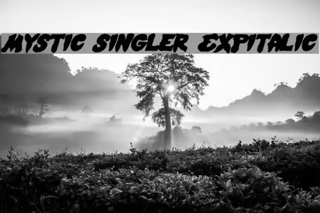 Mystic Singler ExpItalic Font examples