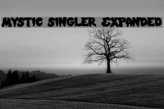 Mystic Singler Expanded Font examples
