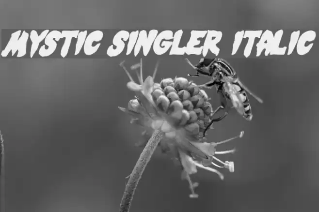 Mystic Singler Italic Font examples