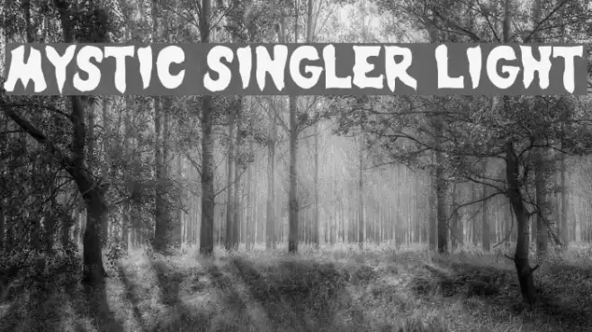 Mystic Singler Light Font examples