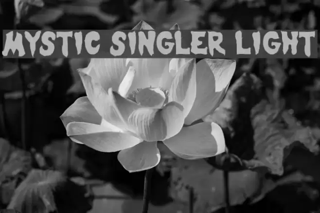 Mystic Singler Light Font examples