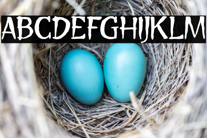 Mystic Soul Example 2