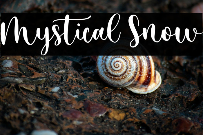 Mystical Snow Example 2