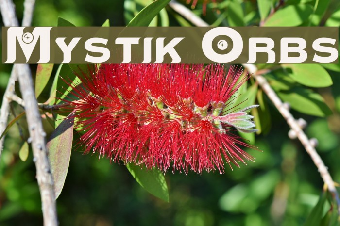 Mystik Orbs Example 3